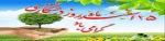 15 اسفند روز درختکاری گرامی باد. 2