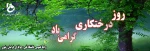 روز درختکری را گرامی می داریم  2